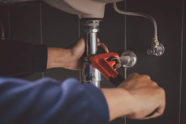 Best Clogged Drain Plumber  in Crandon, WI