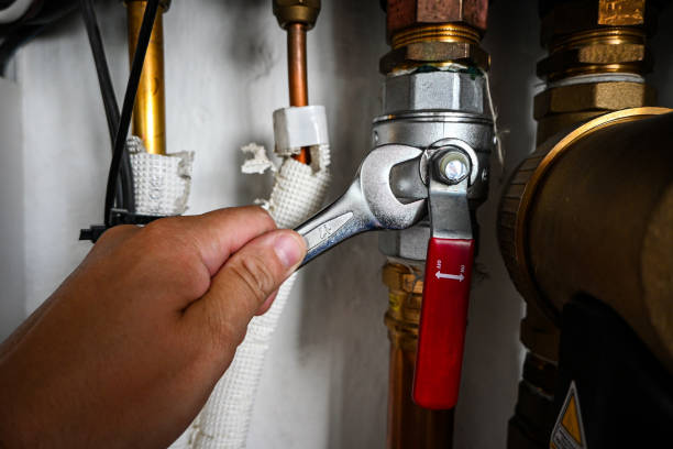Best Septic Systems  in Crandon, WI